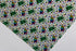 6035 - Small Rainbow Sea Turtles